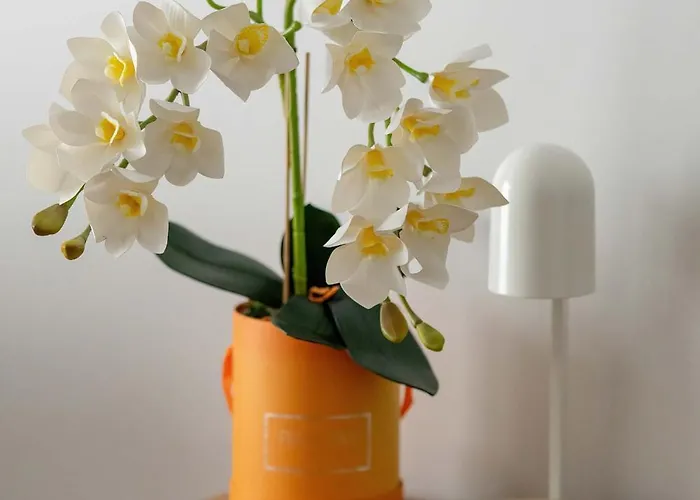 Modern With Parking & Balcony Remote Work Malta Area By Renters Prestige Appartement *